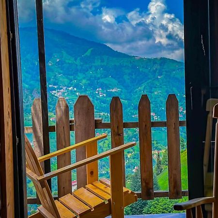 Golden Paws Guesthouse Catalca Ngoại thất bức ảnh